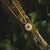 Collar dorado con colgante redondo y piedra verde, vista de detalle