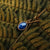 Colgante individual con piedra ovalada azul en montura dorada