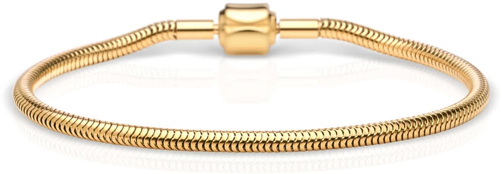 Pulsera de metal con fina malla de eslabones y cierre dorado