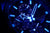 Primer plano de la esfera: marcadores luminosos azules, números y manecillas en la oscuridad