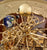 Hermle Tellurium Tourbillon 23069 • Tourbillon bañado en oro • Telurio con fase lunar