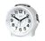 https://vlahova.cz/files/product/134835/detail_img_1/SRP9604.2e.webp