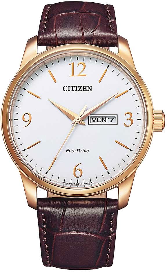 Reloj de hombre: correa de cuero color burdeos, caja dorada, esfera blanca