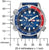 Reloj de hombre con bisel azul, ventana de fecha; boceto a escala con indicaciones en milímetros