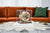 Reloj de mesa en marco de cristal sobre base de encaje blanco, base de madera