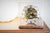 Reloj de mesa con mecanismo dorado tras cristal y esfera redonda, base de madera