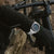 Reloj Festina Chrono Bike para hombre en la muñeca con esfera azul y correa de acero inoxidable