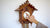 Rombach & Haas TRADITION 3407 Reloj de Pared Oro/Madera • Mecanismo Mecánico de 8 Días • Reloj de Cuco Original de la Selva Negra