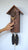 Rombach & Haas CLASSIC SLM3H-10 Reloj de Pared Madera Natural • Mecanismo Mecánico de 8 Días • Reloj de Cuco Original de la Selva Negra