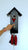 Rombach & Haas Classic SL35 H-2/3 Reloj de Pared Negro/Rojo/Oro • Movimiento Mecánico de 8 Días • Reloj de Cuco Original de la Selva Negra