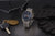"Reloj de hombre sobre base: esfera azul, correa de acero inoxidable plateada, caja de metal"