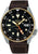 Reloj de hombre con esfera negra, bisel dorado y correa de cuero marrón.