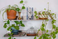 reloj de mesa aluminio mecanismo esqueleto - Hermle Modelo: 23025-Q70721