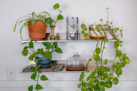 reloj de mesa aluminio mecanismo esqueleto - Hermle Modelo: 23025-Q70721