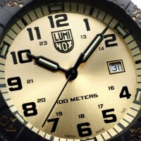 Reloj de hombre SEA Turtle Giant - Luminox Modelo: XS.0325.GP