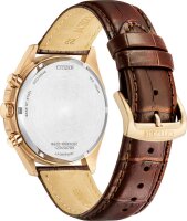 Reloj de hombre - Serie: Citizen Sports - Citizen Modelo: CA4593-15A